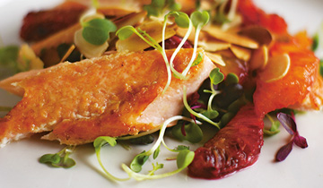 Trout salad